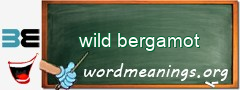 WordMeaning blackboard for wild bergamot